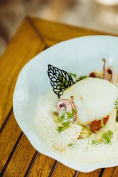 Dish