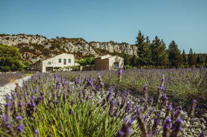 Mountain, Entre Vigne &amp; Garrigue