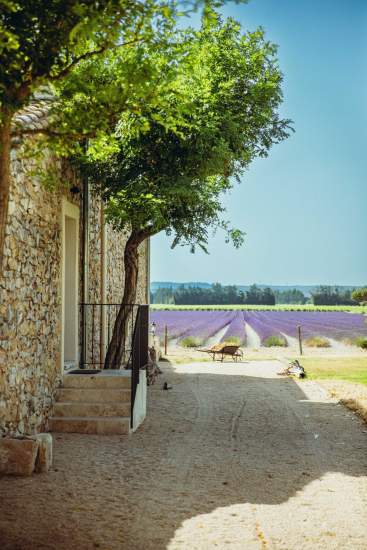 Entre Vigne &amp; Garrigue, Restaurant proche Avignon, Maison Chenet Entre Vigne et Garrigue