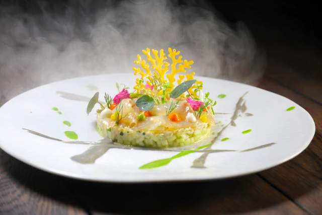 Dish