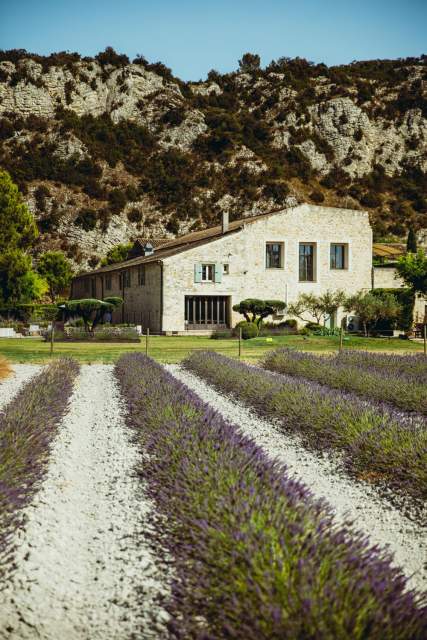 Entre Vigne &amp; Garrigue