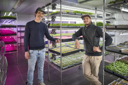 De jeunes pousses aux essences de la terre